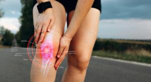 Knee Anatomy and Ligaments Orthopaedic Doctors