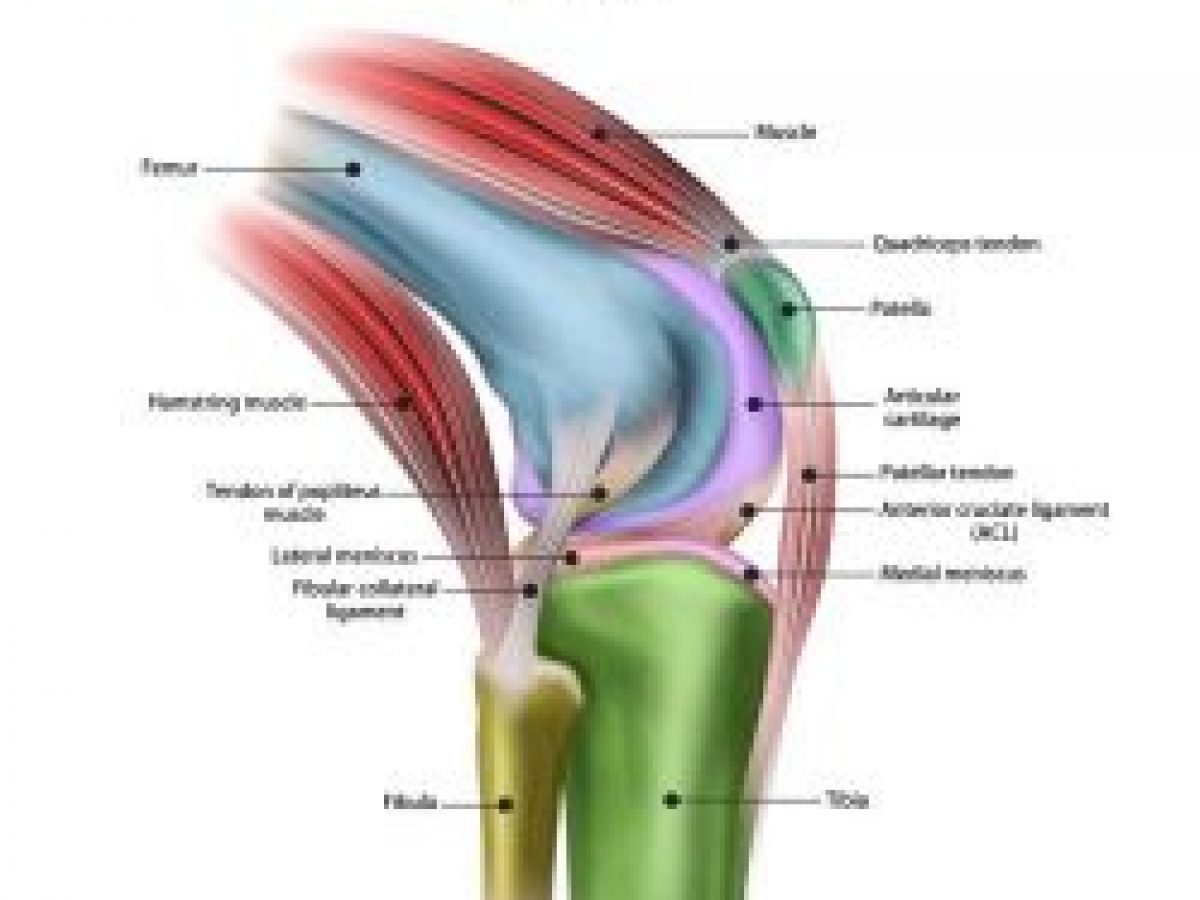 Sinding Larsen Johansson Syndrome