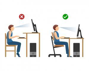 Seated Posture at a Desk