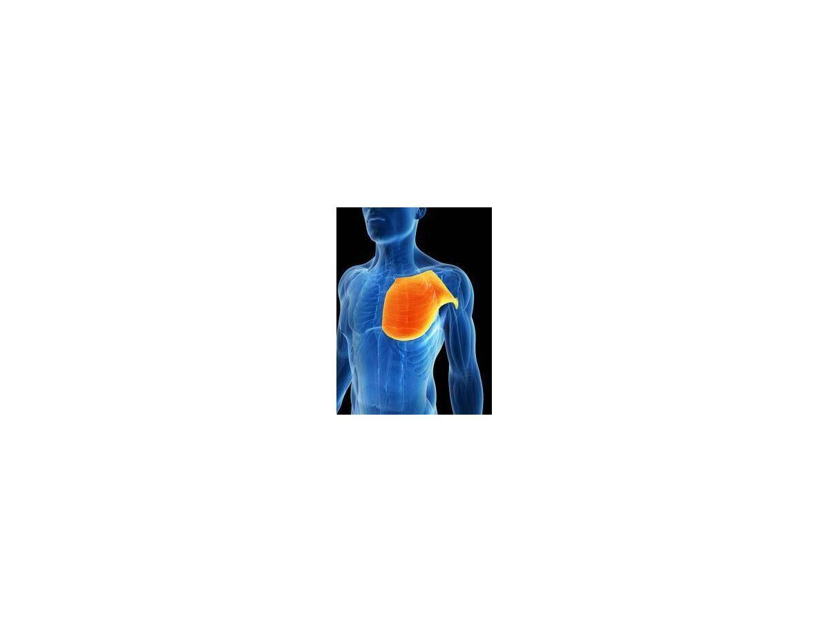 Understanding Pectoral Strains or a Rupture: Causes & Treatment - JOI  Jacksonville Orthopaedic Institute