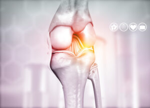 Knee Anatomy JOI Rehab 