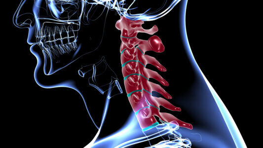 Neck bones