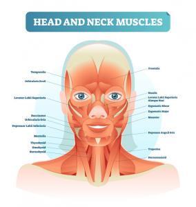 Neck Musclescan also suffer a strain just like other muscles in the body. JOI Rehab