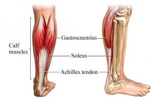 JOI Rehab What is the Achilles Tendon?