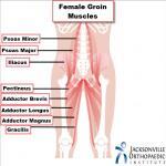Groin Pain In Females JOI Jacksonville Orthopaedic Institute groin-pain-in-females-joi-jacksonville-orthopaedic-institute