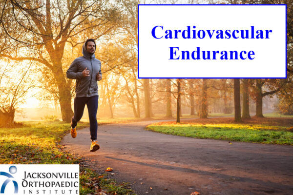 essay about cardiovascular endurance