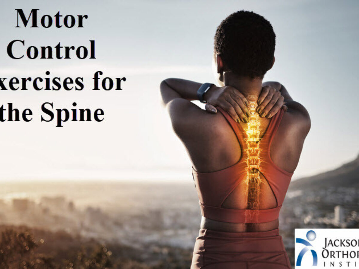 Lumbar Motor Control Exercises For Shoulder - Infoupdate.org