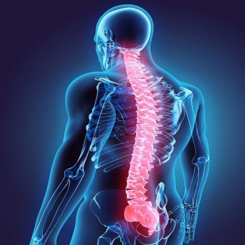 Common Spine Disorders: Diagnosing and Treating Back Pain