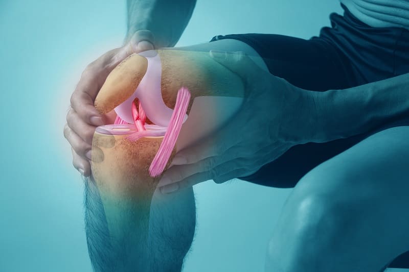 acl injury prevention